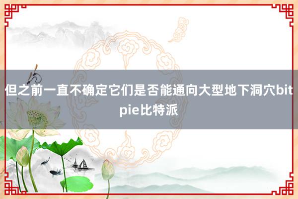 但之前一直不确定它们是否能通向大型地下洞穴bitpie比特派