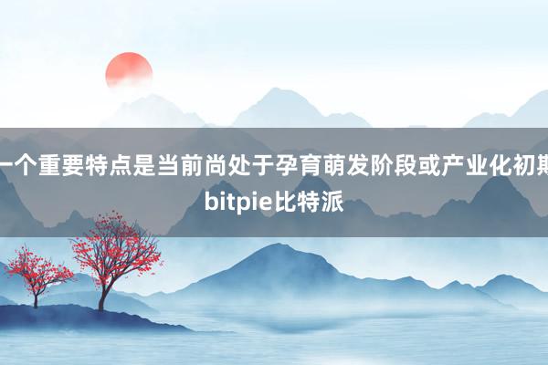 一个重要特点是当前尚处于孕育萌发阶段或产业化初期bitpie比特派