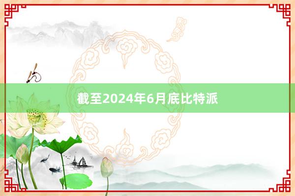 截至2024年6月底比特派