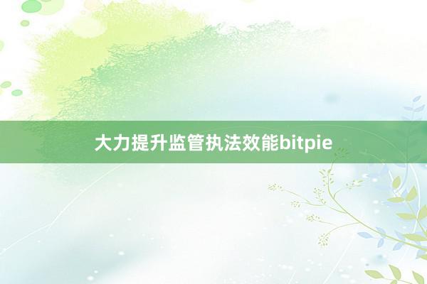 大力提升监管执法效能bitpie