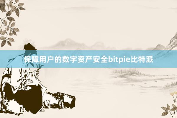 保障用户的数字资产安全bitpie比特派