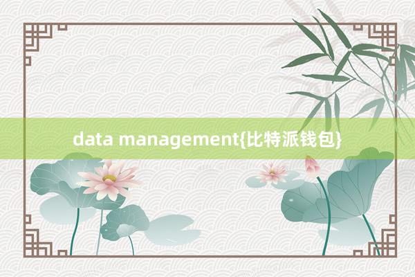 data management{比特派钱包}