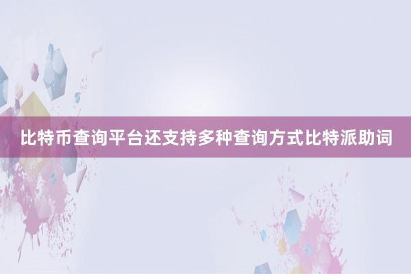 比特币查询平台还支持多种查询方式比特派助词