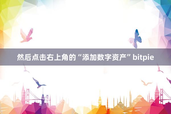 然后点击右上角的“添加数字资产”bitpie