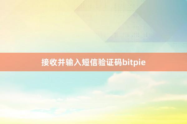 接收并输入短信验证码bitpie