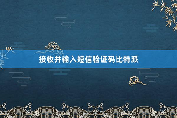 接收并输入短信验证码比特派