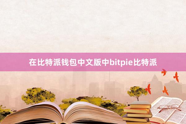 在比特派钱包中文版中bitpie比特派