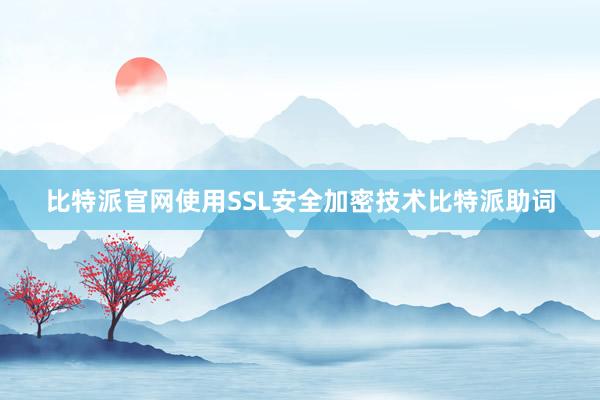 比特派官网使用SSL安全加密技术比特派助词