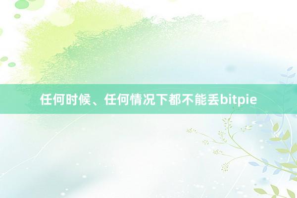 任何时候、任何情况下都不能丢bitpie