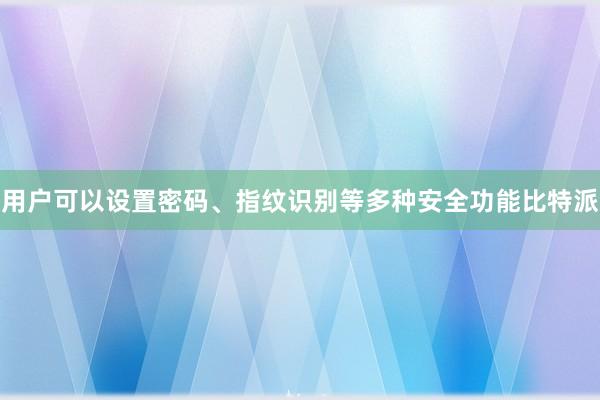 用户可以设置密码、指纹识别等多种安全功能比特派