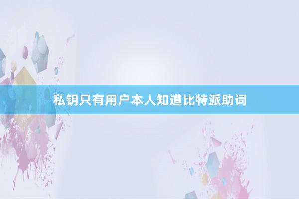 私钥只有用户本人知道比特派助词