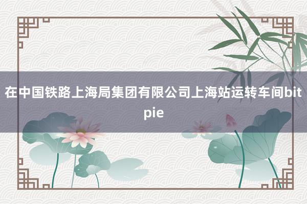 在中国铁路上海局集团有限公司上海站运转车间bitpie