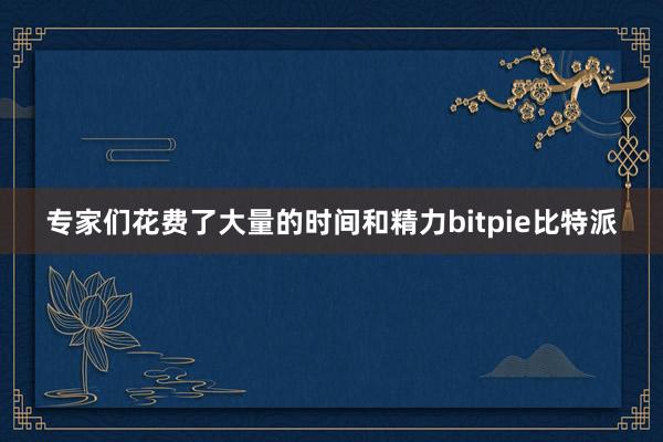 专家们花费了大量的时间和精力bitpie比特派