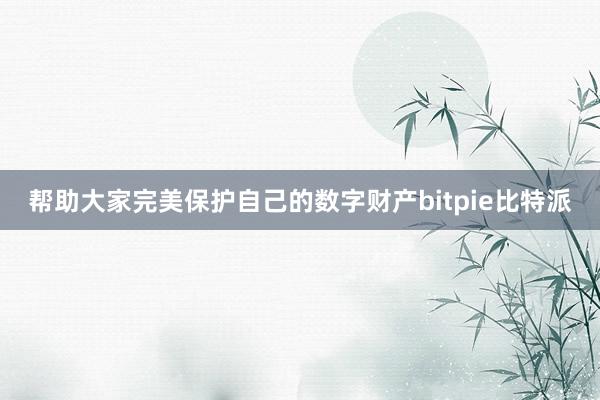 帮助大家完美保护自己的数字财产bitpie比特派